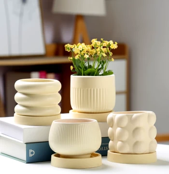 Ceramic Succulent Pot for Home Pothos Exquisite White Luxury Creative Cream Style Large Succulent Planter