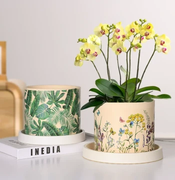 Chinese Style Ceramic Planter - Premium Painted Pots for Pothos, Orchids, and Clivia