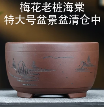 Yixing Zisha Planter for Begonia, Plum Blossom, and Old Stump Diospyros Bonsai - Extra Large Ceramic Pot Clearance Sale