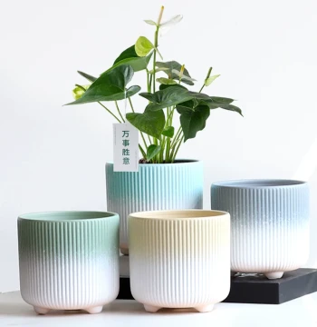 Minimalist Large Ceramic Planter, Coarse Pottery Breathable with Tray, Specialty for Phalaenopsis, Hanging Basket, Snake Plant, Succulents, and Green Plants