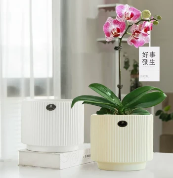 Chinese Style Ceramic Plant Pots - Minimalist Black/White/Grey Indoor Planters for Money Trees, Orchids, and Succulents