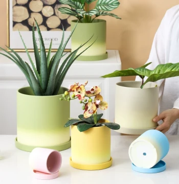 Ceramic Flower Pot for Succulents Orchids Asparagus Fern Gradient Minimalist Large Creative Unique Pothos Phalaenopsis Container with Tray