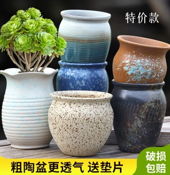 Large-Diameter Ceramic Flower Pot for Succulents, Orchids, and Phalaenopsis - Creative Home Decor Clearance Special #62