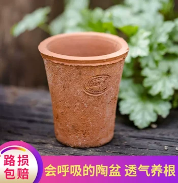 Red Clay Succulent Pots, Minimalist Creative Ceramic Planters, Coarse Pottery Breathable Terracotta Tiles, Clearance Sale