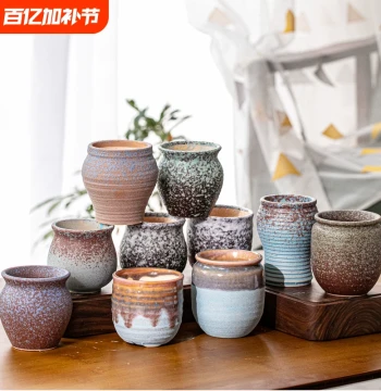 Minimalist Ceramic Succulent Planter Set - Large Opening for Mature Plants, Clearance Sale
