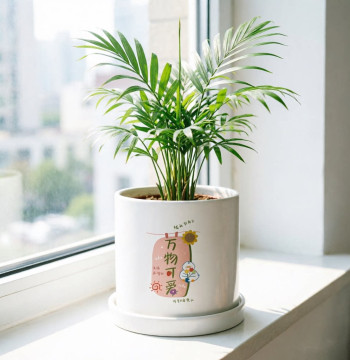 Light Luxury Home Cute Creative Succulent Green Plant Pot Hanging Plant Pothos Special Ceramic Flower Pot with Nutrient Soil and Tray