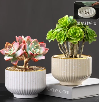 Ceramic Flower Pot Nordic Style Creative Personalized Simple Design Special for Spider Plant Phalaenopsis Pothos Succulents Includes Tray