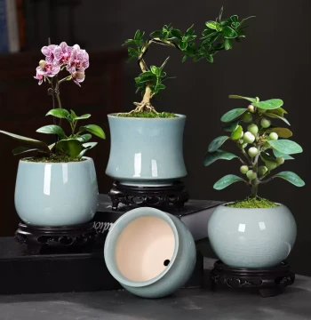 Special Offer: Small Ceramic Antique-Style Plant Pots - Creative Minimalist Planters for Bamboo Ferns, Pothos, Orchids, and Succulents (Includes Saucer)