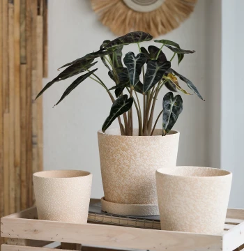 Coarse Unglazed Ceramic Planter with Rough Clay Surface - Slanted Round Breathable Yellow Clay Pot for Root Control