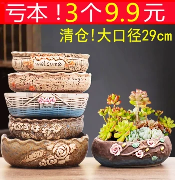 Large Diameter Ceramic Succulent Planter on Clearance for Home Plants and Bonsai Arrangements