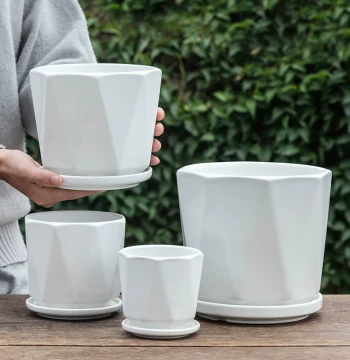 Ceramic Flower Pots on Clearance – Various Sizes with Integrated Trays for Succulents, Pothos, and Orchids