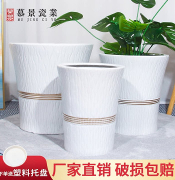 Minimalist Luxury Ceramic Planter for Bird of Paradise, Money Tree, and Dracaena - Clearance Sale