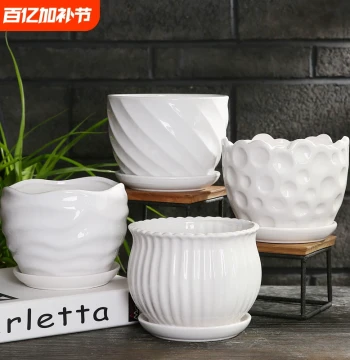 Ceramic Flower Pot for Home Use, Pothos Special Clearance, Large/Medium Succulent Green Plants, European Style White Phalaenopsis Pot, Wholesale