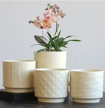 Nordic Large Ceramic Flower Pot with Tray for Phalaenopsis Orchids Creamy Healing Style Snake Plant Succulent Greenery Planter
