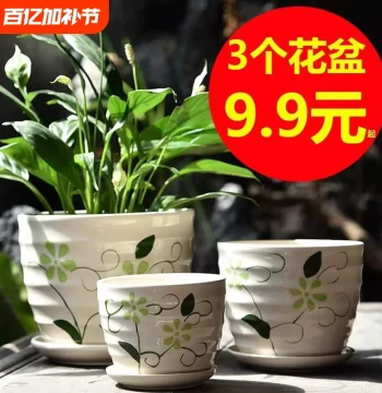 Clearance Sale: Ceramic Flower Pot with Saucer, Large Plastic Succulent Planter, Wholesale Bulk