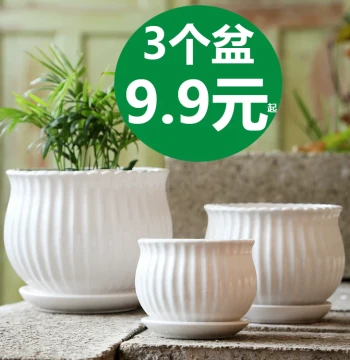 Large Ceramic Pots with Saucers, Clearance Special, Creative Home Decor for Pothos, Spider Plants, and Succulents