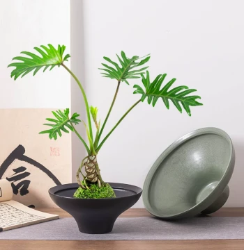 Zen White Ceramic Pot: Minimalist Planter for Moss Balls and Various Green Plants