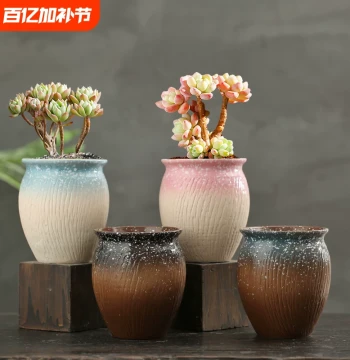 Ceramic Succulent Pot Set Large Diameter Nordic Minimalist Style Clearance Sale for Echeveria