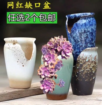Succulent Notched Pot Home Medium Cut-Edge Pot Cliff Old Stock Breathable Creative Graptopetalum paraguayense Ceramic Clearance 71