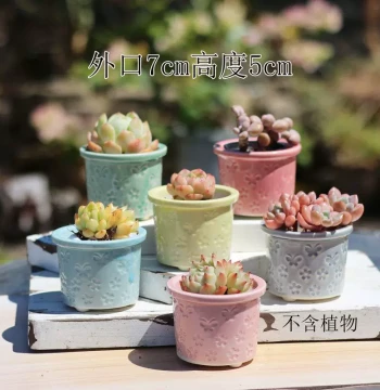 Free Shipping Succulent Planter Set: Kiln-Changed Maifan Stone, Retro Wide-Mouth Ceramic, Breathable & Water-Absorbing for Old Stumps (Special Offer)