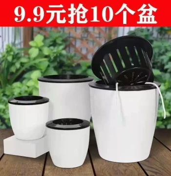 Self-Watering Planter for Pothos – Automatic Water Absorption, Soil-Free Hydroponic Pot, No Manual Watering Needed, Plastic with Ceramic-Like Finish