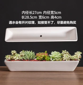 Rectangular Ceramic Succulent Planter, Narrow Long Style, Minimalist White for Balcony and Outdoor