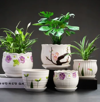 Ceramic Flower Pot for Home Succulents Single Size Specific for Pothos with Tray Money Tree Spider Plant Factory Direct