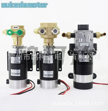 220V Capacitor-Start Single-Phase Asynchronous Motor for Commercial Coffee Machine Rotary Water Pumps (Dongguan Factory)
