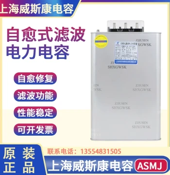 Wiscon ASMJ0.45-30-3 Anti-Harmonic Self-Healing Parallel 30KVAR Compensation Filter Power Capacitor