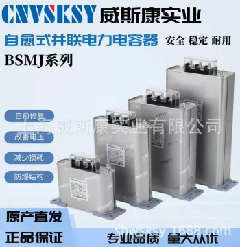 Wiscon Three-Phase Self-Healing Low-Voltage Shunt Power Capacitor BSMJ0.45 Reactive Power Compensator 450V