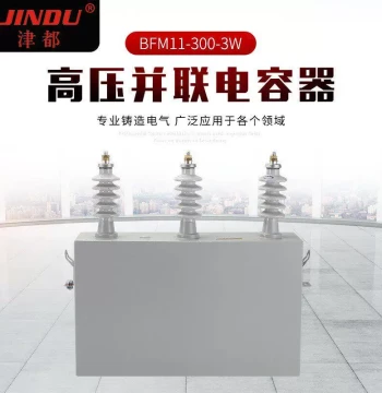 High-Voltage Shunt Capacitor BFM11-100-3W High-Voltage Three-Phase Pole-Mounted Local Compensation Outdoor Power Capacitor