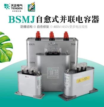 Tianzheng Electric BSMJ 0.4/0.45/0.48 Self-Healing Low-Voltage Reactive Power Compensation Parallel Power Capacitor