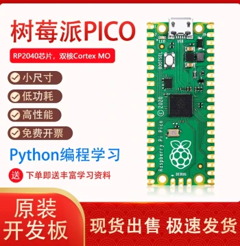 Raspberry Pi Pico Development Board Kit Mainboard Programming Extension Board Python Raspberry Pi RP2040