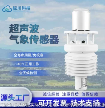 Ultrasonic Weather Sensor Outdoor Temperature Humidity Environmental Monitoring Station Integrated Agricultural Multi-Element Mini Anemometer