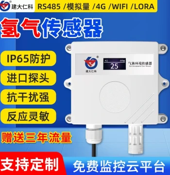 Hydrogen Sensor H2 Industrial Grade High-Precision Alarm Transmitter Gas Detector