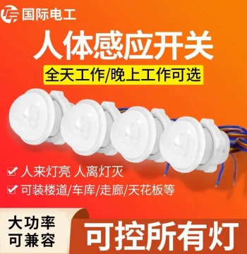 220V Infrared Human Body Sensor Switch, Small Recessed Probe for Smart LED Stairwell Lighting with Delay Module