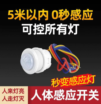 220V Infrared PIR Motion Sensor Switch Module with Compact Recessed Probe for Smart Hallway Lighting and Property Management