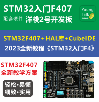 Yangtao No.2 Development Board STM32F407ZGT6 Microcontroller HAL Library Embedded Bluetooth WiFi Color Screen