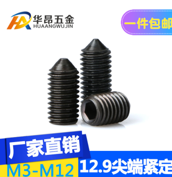Grade 12.9 Pointed Set Screw, Headless Socket Grub Screw M3-M5 M6 M10 M12