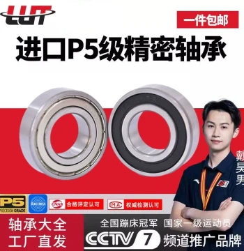 Deep Groove Ball Bearings 6300 6301 6302 6303 6304 6305 6306 6307 ZZ RS