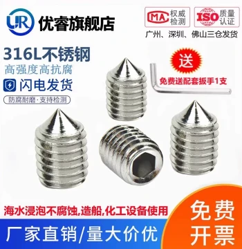 316L Stainless Steel Cone Point Set Screw Headless Grub Screw Socket M3 M4