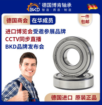 German Imported BKD High-Speed Deep Groove Ball Bearings 6206, 6202, 6203, 6204, 6205