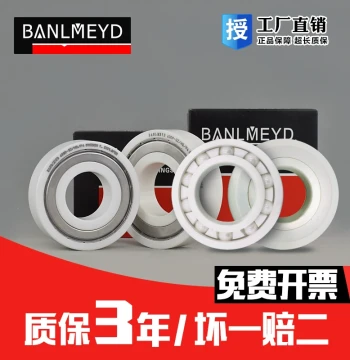 Sweden BMD Imported Full Ceramic Bearings 6200, 6201, 6202, 6203, 6204, 6205, 6206RS HQ