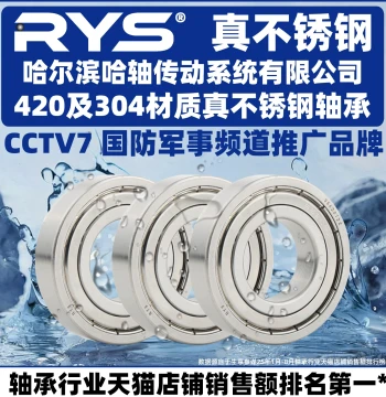 RYS Stainless Steel Bearings 6000 6001 6002 6003 6004 6005 ZZ 440 304 Material