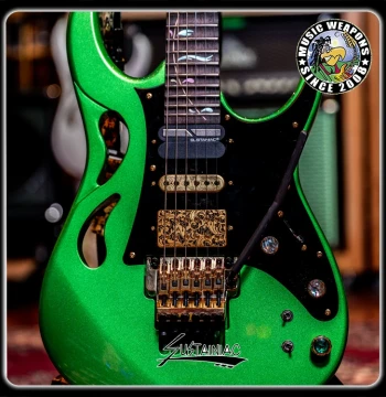 Sustainiac/USA Made/Electric Guitar/Infinite Sustain/Pickup/Single Coil/Dual Coil/7 String