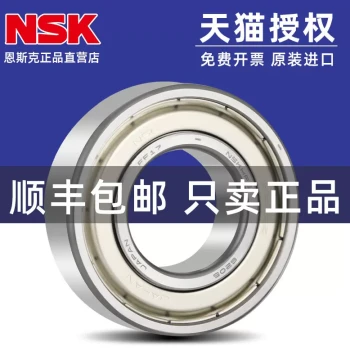 Japanese Imported NSK 6200, 6201, 6202, 6203, 6204, 6205, 6206Z/DU/RS High-Speed Bearings