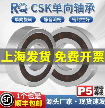 One-Way Bearings CSK8/10/12/15/17/20/25/30/35/40/6004/6005/PP with Inner and Outer Grooves