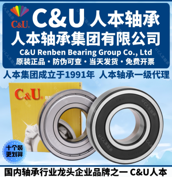 Renben Genuine Bearings: 6201-6206, 6004, 6305, 6306 High-Speed Motor Series