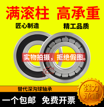 Full Complement Cylindrical Roller Bearings High Load Capacity NCF Series Full Model Range - Inner Diameters 15, 20, 25, 30, 35, 40, 50
