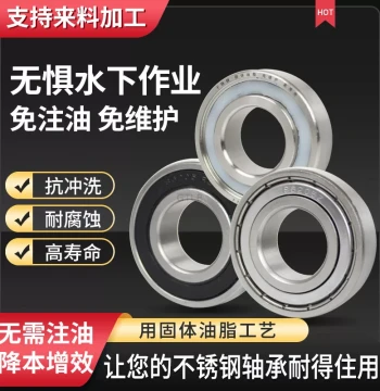 Solid Grease SS6200 Series (01-08) Stainless Steel Waterproof Sealed Bearings